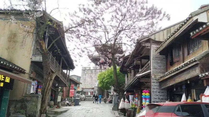 不朽星球